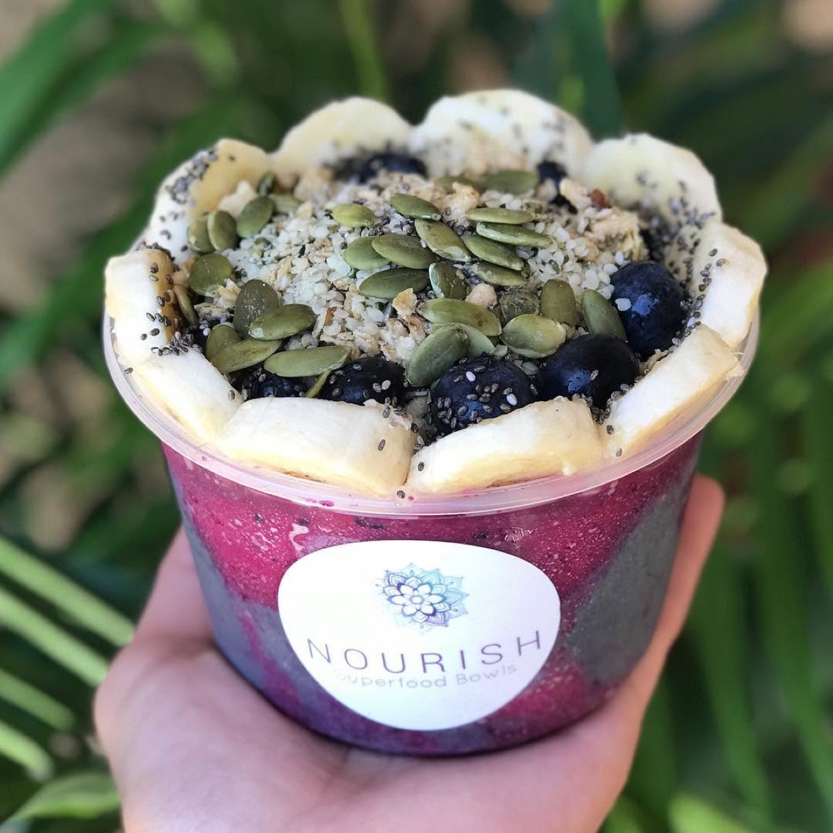 Pitaya bowl